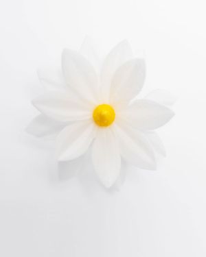 Lotus Large -13240