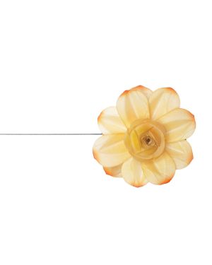 Lotus Mini – 13250