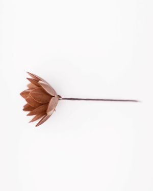 Chocolat Mini -13520