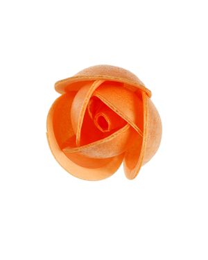 Simple Rose Orange -1008-SF/3