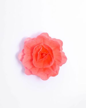 Rosa – 10111