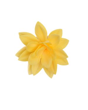 Artistic Rosa – 11000