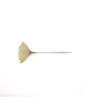 Rosa- 11011