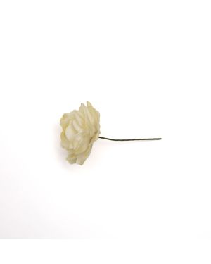 Rosa- 11011