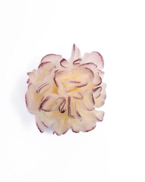 Clove Flower – 13059