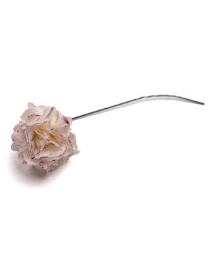Clove Flower – 13059