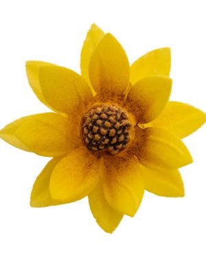 Sunflower Mini -13060 PM