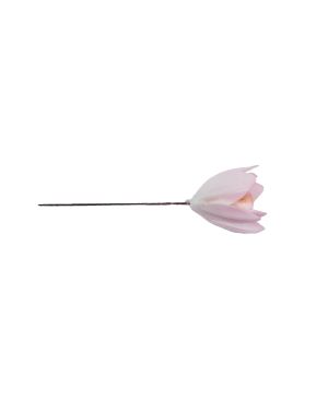 Dahlia Tiny – 13110