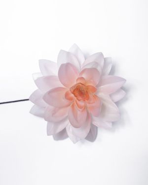 Dahlia Large – 13160
