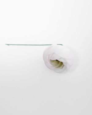 Ranunculus Mini – 13310