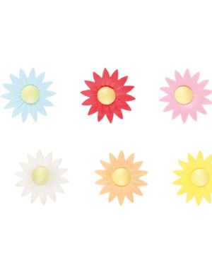 Daisies – 6024
