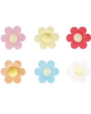 Daisies – 6028