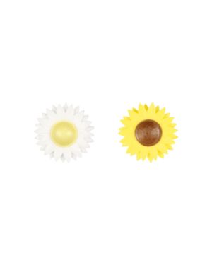 Daisies – 6031
