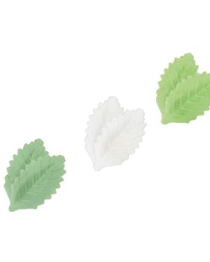 Leaves -7021