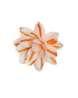 Mini Rosa- 8112