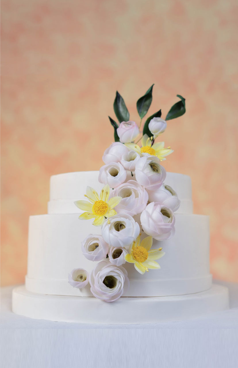 Ranunculus
