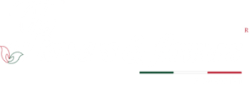 Flower & Flower